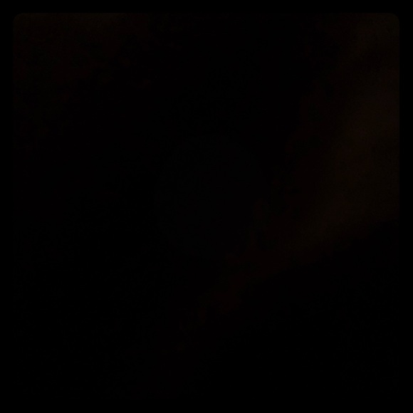 Meet your Posher, Sage - Picture 1 of 1